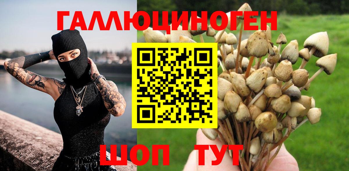 Галлюциногенные грибы прущие грибы  Псилоцибиновые грибы ЛСД  что такое   Белая Калитва  Вход с VPN 
